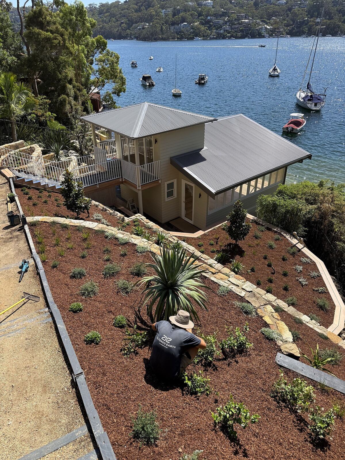 Terraced native planting above the water